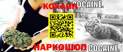 дживик Сланцы