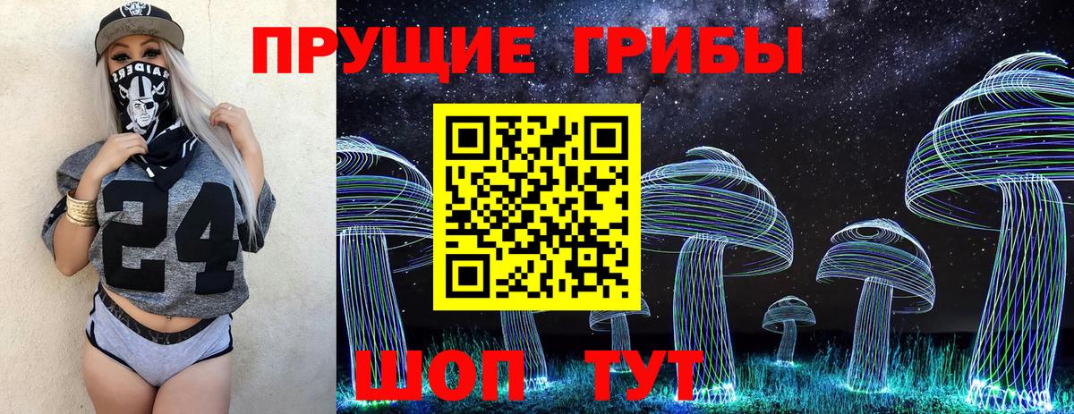 цена   Вход с VPN  Рубцовск  Галлюциногенные грибы Cubensis 